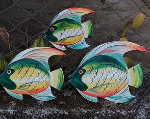 Trio peixes verde