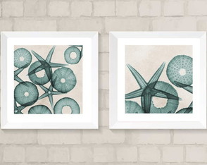 Conjunto de Quadros para Lavabo conchas. caramujo COM VIDRO