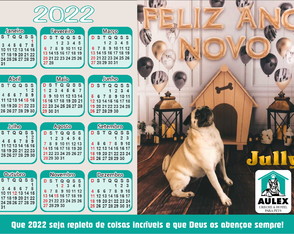 Calendário Foto Imã Personalizados Foto Individual