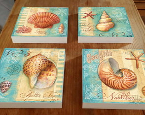 4 Quadros Tela Decorativos Conchas Frete Grátis