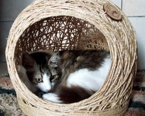 Cama em Sisal para Gatos até 6kg