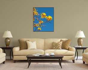 Quadro Decorativo Fine Art Canvas Ipê Amarelo 40x50