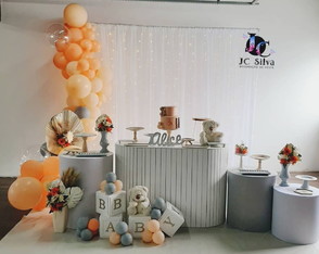 Locação Decoração Chá de Bebê Cinza/salmão. Atendemos Zs/sp.