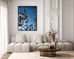 Quadro Decorativo Fine Art Canvas Galhos 40x50