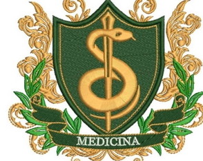 Matriz Bordado Medicina