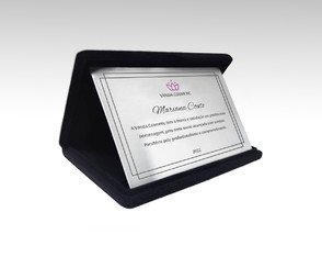 Placa de Homenagem em Aço Inox com Estojo de Veludo 17x12cm
