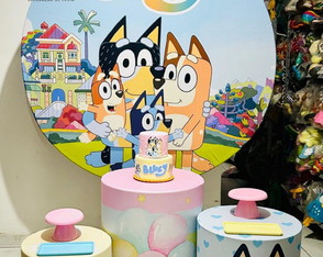 Locação Kit Pegue e Monte Bluey