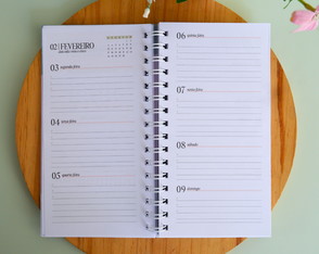 Planner Slim Datado 2025
