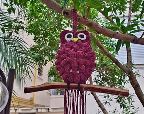 Coruja de Crochê Decoração