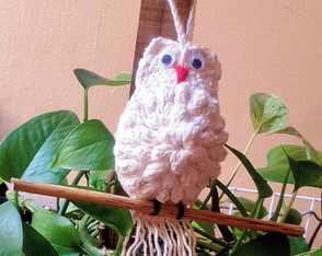 Coruja de Crochê Decoração