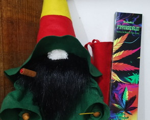 Doende do Reggae