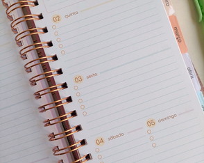 Planner Slim Fofo 2025 - Visão Semanal em 02 Páginas