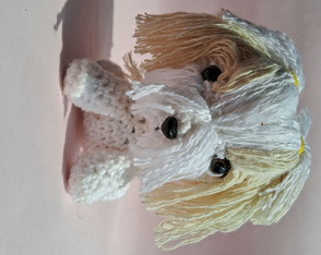 Mini Shih Tzu
