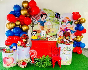 Locação Decoração Branca de Neve. Atendemos a Zs de Sp.