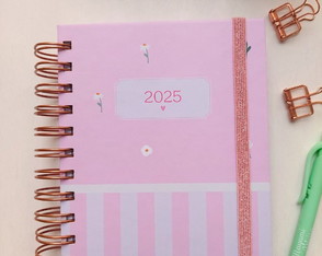 Mini Planner 2025