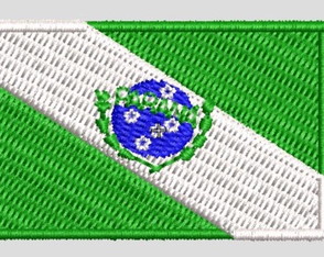 Matriz Bordado Bandeira do Paraná