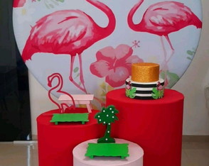 Locação Kit Pegue e Monte Flamingo