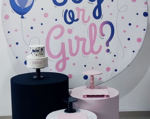 Locação Kit Pegue e Monte Chá Revelação Rosa e Azul Marinho