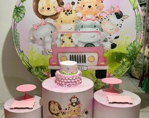 Locação Kit Pegue e Monte Safari Rosa 2
