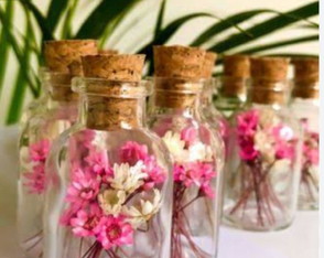 Garrafinha com Flores Secas