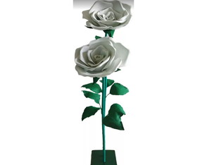 2 Rosas Gigantes em Eva Branca