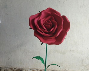 Rosa em Eva Média