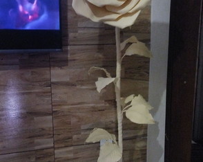 Rosa Bege Gigante em Eva