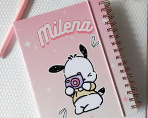 Pasta Caderno Pochacco