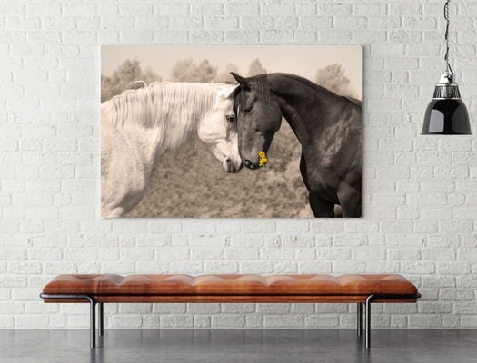 Quadro decorativo - 688eaa