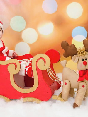 Renas de natal