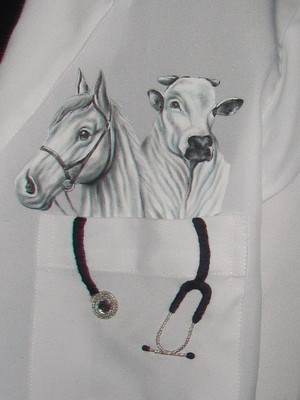 Jaleco med. veterinária gola blazer