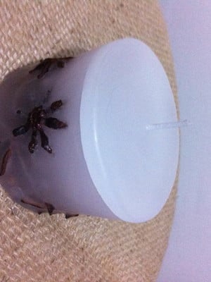 Vela de anis estrelado
