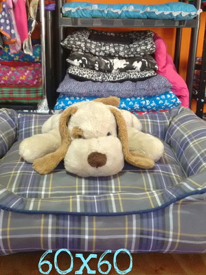 Cama big