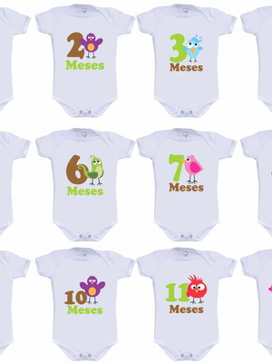 Kit mêsversário passarinhos