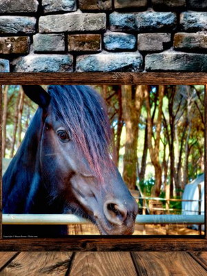 Quadro vintage cavalo 03 rústico - retrô