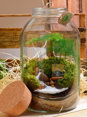 Terrário grande casinha p130