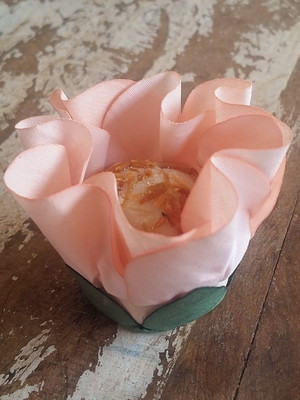 Petúnia