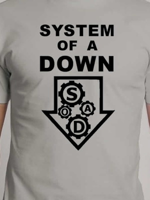 Camiseta system of a down