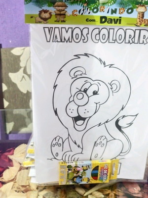 Desenhos colorir safari