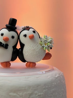Noivinhos pinguins