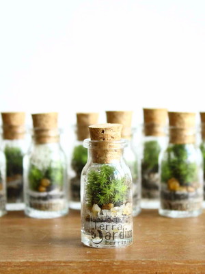 Terrário lembrancinha frasco pp