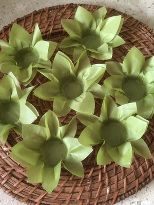 Forminhas de lírio verde kiwi