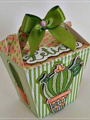 Cactos-festa mexicana-caixa sushi