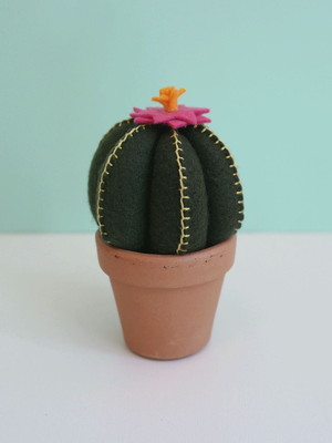 Cactos de feltro