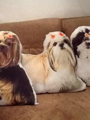 Pet almofadas