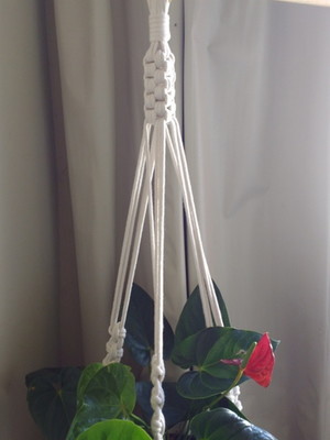 Suporte para plantas modelo 12