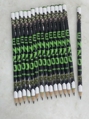 Lápis personalizado hulk