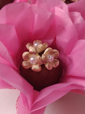 Forminha camélia papel de seda rosa