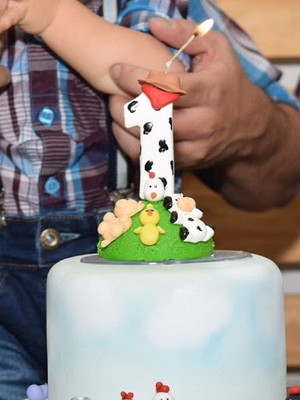 Vela personalizada fazendinha