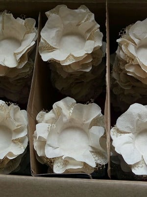 Forminhas para doces finos